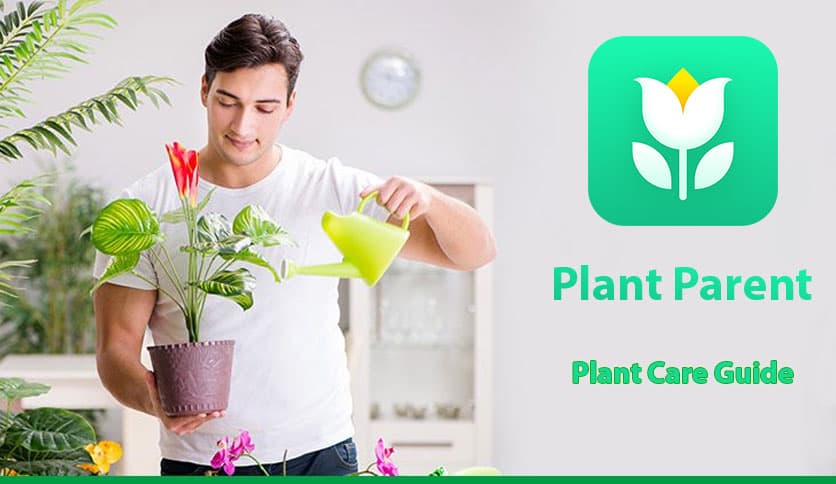 https://media.imgcdn.org/repo/2023/03/plant-parent-plant-care-guide/plant-parent-plant-care-guide-free-download-1.jpg