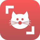 Cat Scanner: Breed Recognition