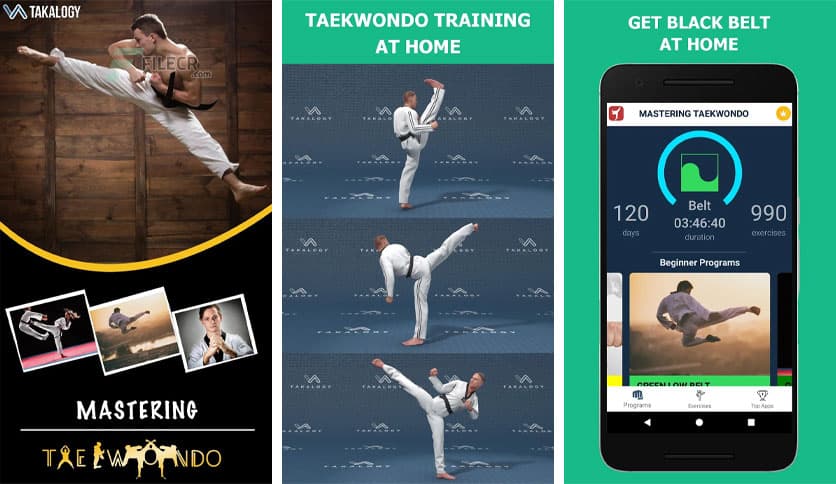 https://media.imgcdn.org/repo/2023/03/mastering-taekwondo-at-home/mastering-taekwondo-at-home-free-download-01.jpg