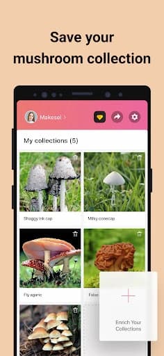https://media.imgcdn.org/repo/2023/09/picture-mushroom-mushroom-id/6515268088ecc-picture-mushroom-mushroom-id-screenshot9.webp
