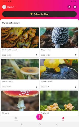 https://media.imgcdn.org/repo/2023/09/picture-mushroom-mushroom-id/65152682d5cb7-picture-mushroom-mushroom-id-screenshot12.webp