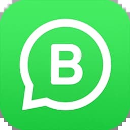 WhatsApp Business 2.24.10.9