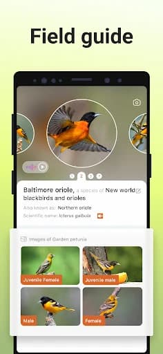 https://media.imgcdn.org/repo/2024/03/picture-bird-bird-identifier/65e17ea53b91e-picture-bird-bird-identifier-screenshot3.webp