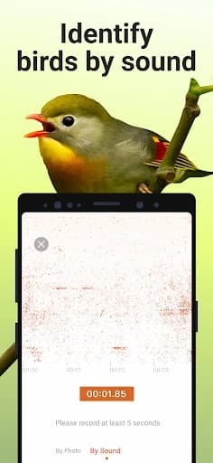https://media.imgcdn.org/repo/2024/03/picture-bird-bird-identifier/65e17ea78f69c-picture-bird-bird-identifier-screenshot5.webp