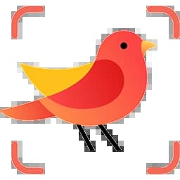 Picture Bird - Bird Identifier