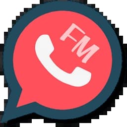 FM WhatsApp 10.10